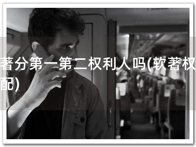软著分第一第二权利人吗(软著权利分配)