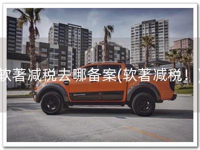 软著减税去哪备案(软著减税！)