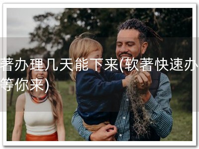 软著办理几天能下来(软著快速办理，等你来)