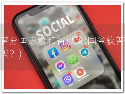 软著分国家级和省级吗(国省软著你懂吗？)