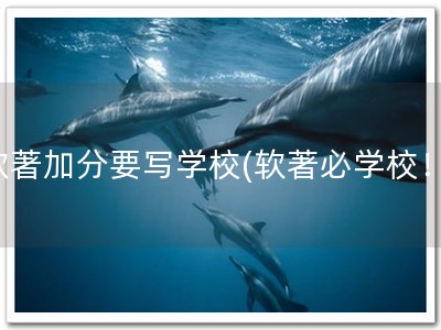 软著加分要写学校(软著必学校！)