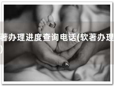 软著办理进度查询电话(软著办理电话)