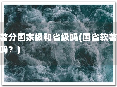 软著分国家级和省级吗(国省软著你懂吗？)
