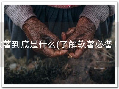 软著到底是什么(了解软著必备！)