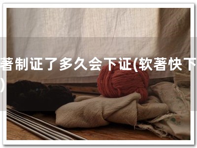 软著制证了多久会下证(软著快下证！)
