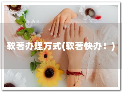 软著办理方式(软著快办！)