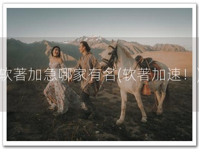 软著加急哪家有名(软著加速！)