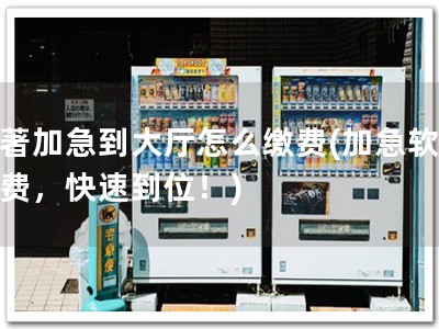 软著加急到大厅怎么缴费(加急软著缴费，快速到位！)