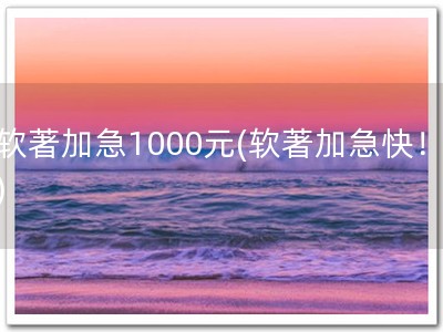 软著加急1000元(软著加急快！)