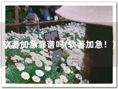 软著加急靠谱吗(软著加急！)