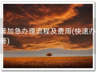 软著加急办理流程及费用(快速办理软著)