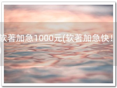 软著加急1000元(软著加急快！)