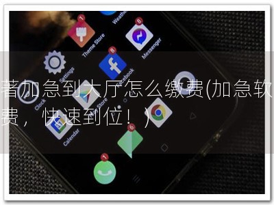 软著加急到大厅怎么缴费(加急软著缴费，快速到位！)