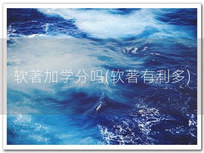 软著加学分吗(软著有利多)