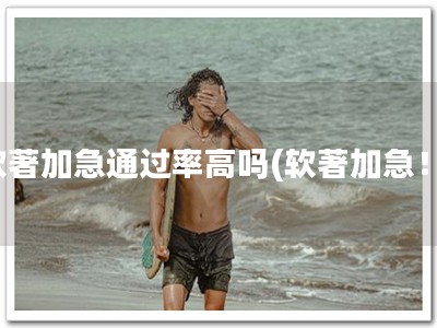 软著加急通过率高吗(软著加急！)