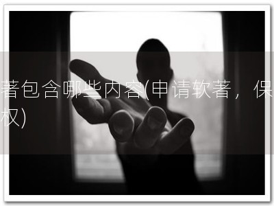 软著包含哪些内容(申请软著，保证版权)