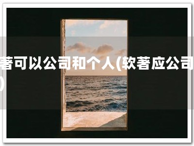 软著可以公司和个人(软著应公司个人)