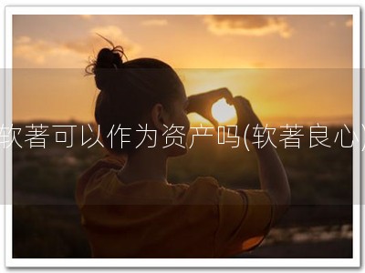 软著可以作为资产吗(软著良心)