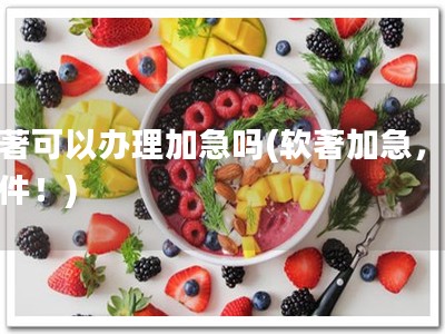 软著可以办理加急吗(软著加急，秒批件！)