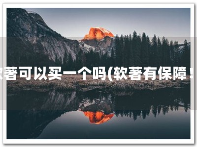 软著可以买一个吗(软著有保障！)
