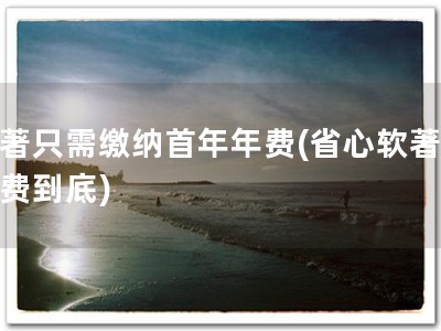 软著只需缴纳首年年费(省心软著，一费到底)