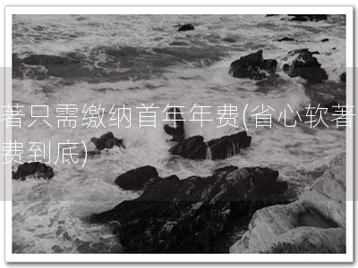软著只需缴纳首年年费(省心软著，一费到底)