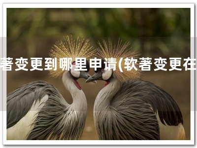 软著变更到哪里申请(软著变更在此)