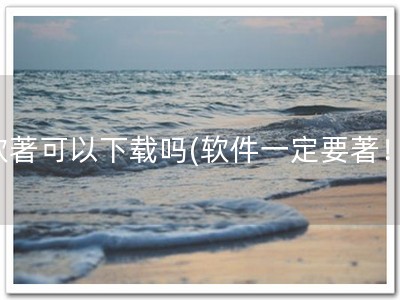 软著可以下载吗(软件一定要著！)
