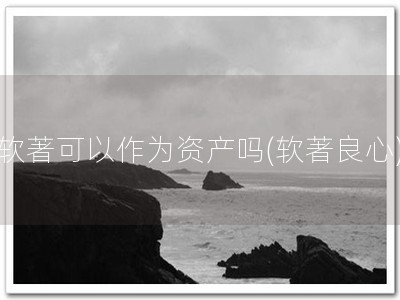 软著可以作为资产吗(软著良心)