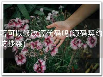 软著可以修改源代码吗(源码契约，必防抄袭)