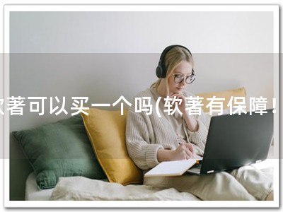 软著可以买一个吗(软著有保障！)
