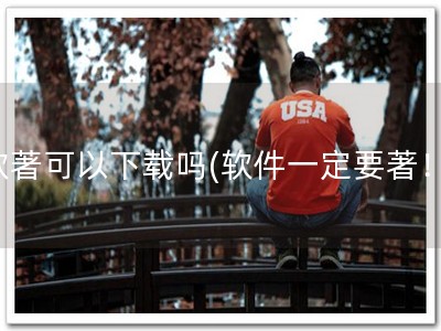 软著可以下载吗(软件一定要著！)