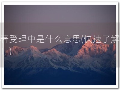 软著受理中是什么意思(快速了解软著！)