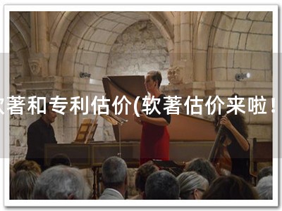 软著和专利估价(软著估价来啦！)