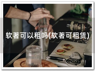 软著可以租吗(软著可租赁)