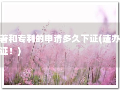 软著和专利的申请多久下证(速办软著证！)