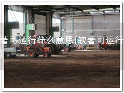 软著可运行什么意思(软著可运行必要)