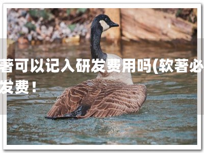 软著可以记入研发费用吗(软著必记研发费！