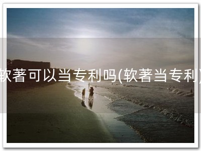 软著可以当专利吗(软著当专利)