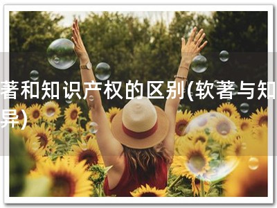 软著和知识产权的区别(软著与知产差异)