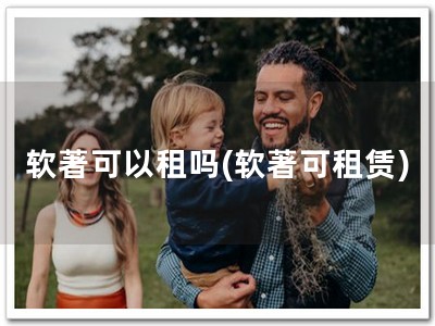 软著可以租吗(软著可租赁)