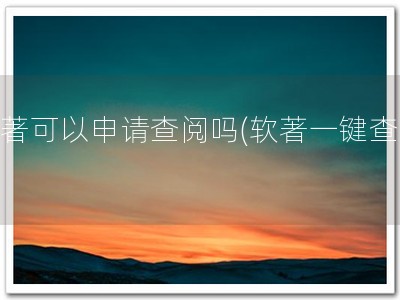软著可以申请查阅吗(软著一键查！)