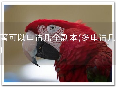 软著可以申请几个副本(多申请几份！)