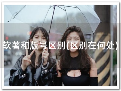 软著和版号区别(区别在何处)