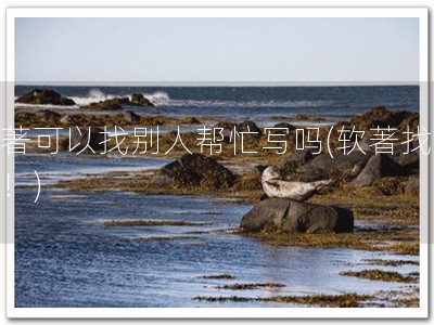 软著可以找别人帮忙写吗(软著找专家！)