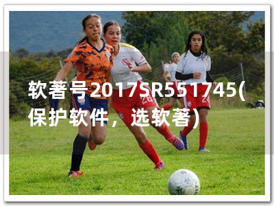 软著号2017SR551745(保护软件，选软著)