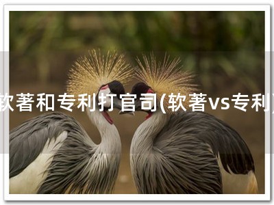 软著和专利打官司(软著vs专利)