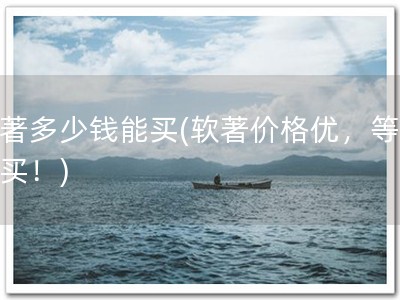 软著多少钱能买(软著价格优，等你来买！)