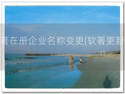 软著在册企业名称变更(软著更新易)