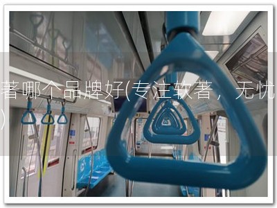 软著哪个品牌好(专注软著，无忧知产)